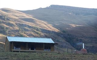 6 ha Farm in Newcastle Central