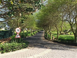 1136 m² Land available in Zinkwazi Beach