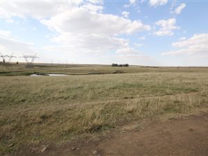 600 ha Farm in Leandra