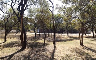 21.4 ha Farm in Hammanskraal
