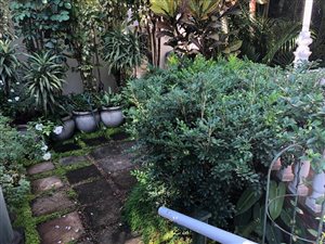 1 Bed Garden Cottage in Morningside