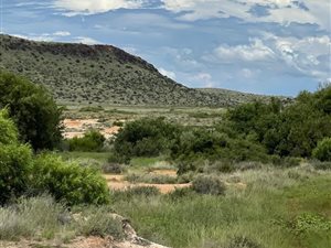 2540 ha Land available in Fauresmith