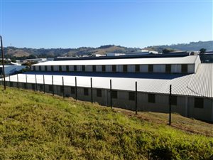 2950 m² Industrial space in Westmead