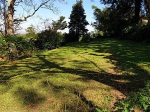 2.7 ha Farm in Peacevale