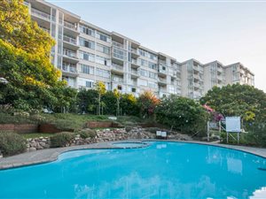 Studio Apartment in Green Point