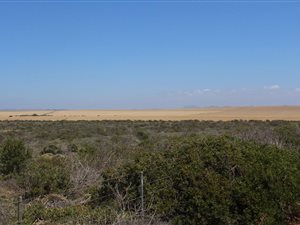 611 m² Land available in Boggomsbaai
