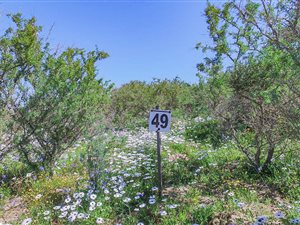 605 m² Land available in Langebaan
