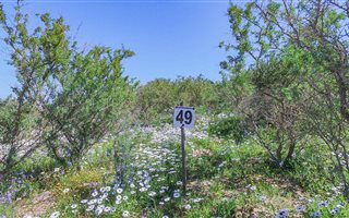 605 m² Land available in Langebaan Central