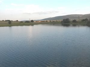 748 ha Farm in Alma