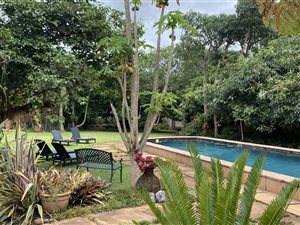 7 Bed House in White River