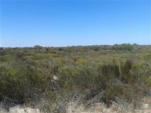 18 ha Farm in Hopefield