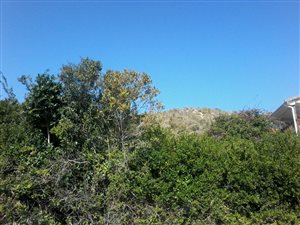 875 m² Land available in Meedingsride