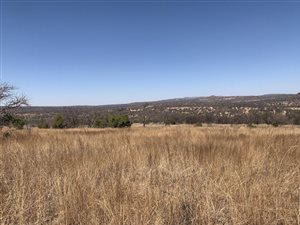 320 ha Farm in Mokopane