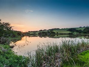 25 ha Farm in Ballito