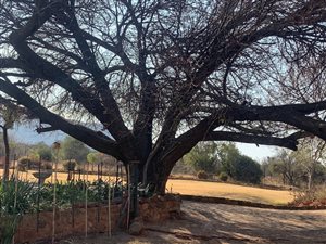 42 ha Farm in Rustenburg Central