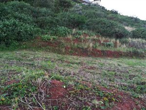 1167 m² Land available in Seaward Estates
