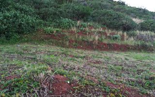 1167 m² Land available in Seaward Estates