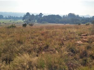 12 ha Farm in Evaton