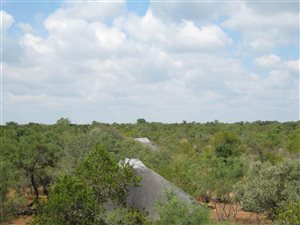 21 ha Farm in Dinokeng