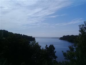 1351 m² Land available in Palm Beach