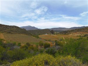 98 ha Farm in Montagu