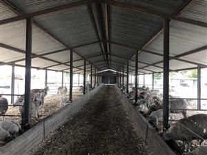 400 ha Farm in Normandien