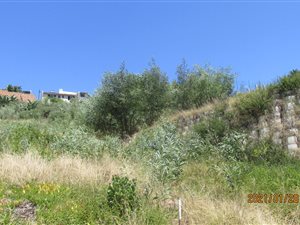 861 m² Land available in Knysna Heights