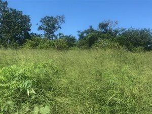 3.1 ha Land available in Verulam