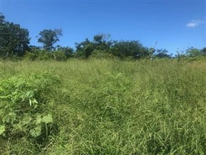 3.1 ha Land available in Verulam