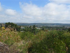 7315 m² Land available in Colbyn