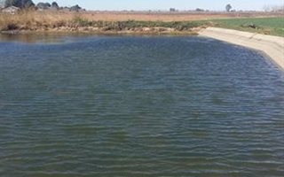 25 ha Farm in Hartswater