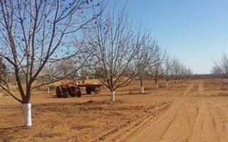 25 ha Farm in Hartswater