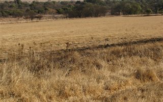 62 ha Farm in Donkerhoek