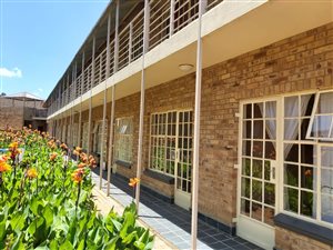 1 Bed Apartment in Dassierand
