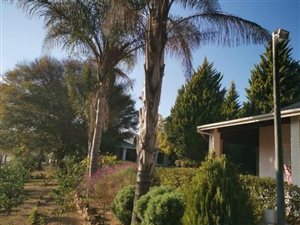 1 ha Farm in Piketberg
