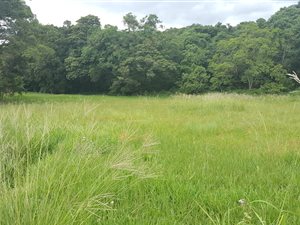 940 m² Land available in Eshowe