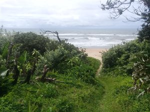 2001 m² Land available in Oslo Beach