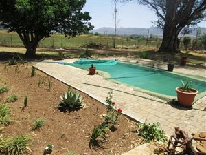 8.6 ha Farm in Bultfontein