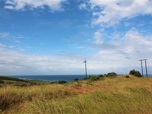 1270 m² Land available in Sheffield Beach