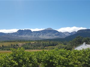 5.8 ha Farm in Wellington Central