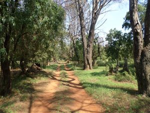17.5 ha Farm in Ventersdorp