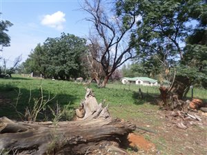 17.5 ha Farm in Ventersdorp