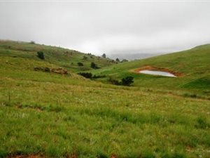 1 ha Land available in Dullstroom