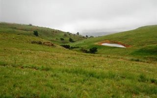 1 ha Land available in Dullstroom
