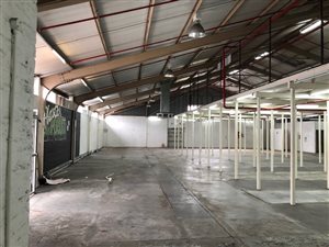 800 m² Industrial space in Retreat