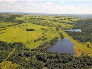 230.4 ha Farm in East London Rural