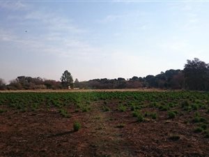 2 ha Land available in Oudorp