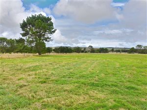 86 ha Farm in Port Elizabeth Central