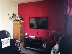 2 Bed Flat in Flamingo Heights