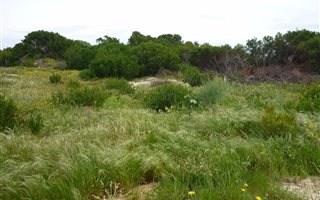 595 m² Land available in Hawston